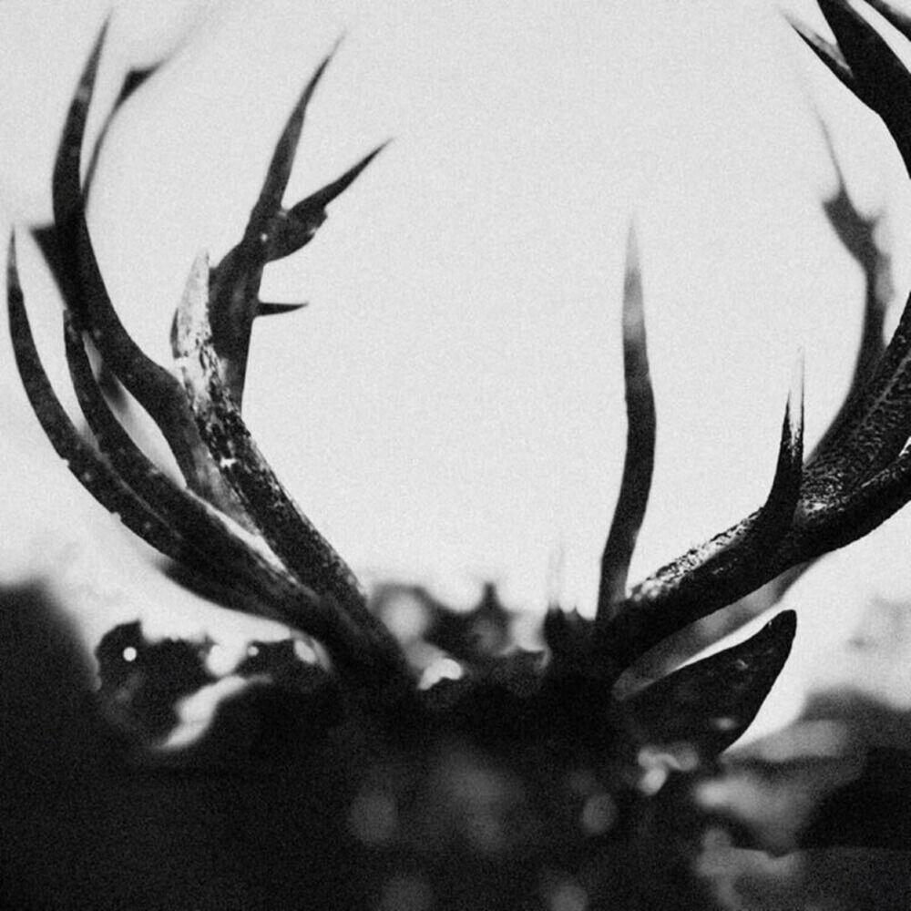 Ihsahn - IHSAHN  CD